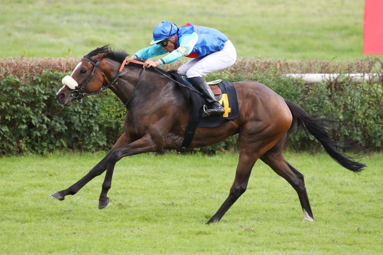 Quelinda bei der Arqana Vente Online de Décembre