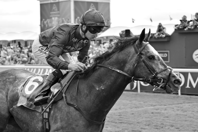 Champion Roaring Lion lebt nicht mehr