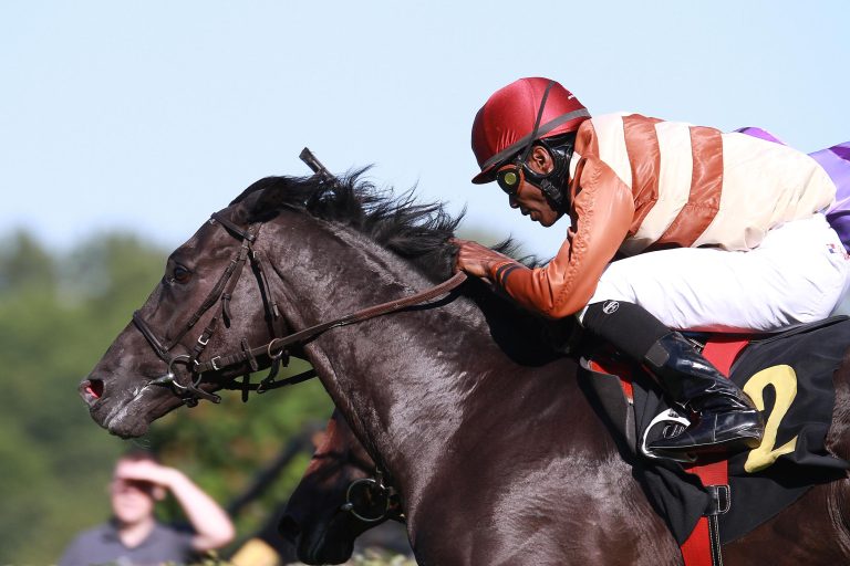 Rock of Romance Neunter im Prix Denisy