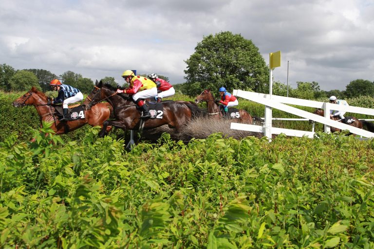 World Hurdle-Aus für Rock On Ruby
