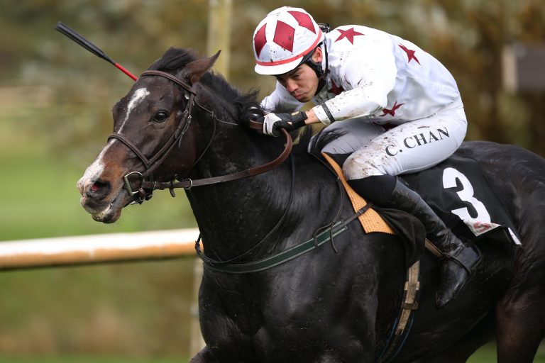 Rosenkönig im Schwedischen Champion Hurdle Rosenkönig im Schwedischen Champion Hurdle