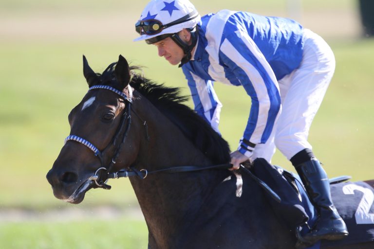 Australian Bloodstock kauft Royal Music Australian Bloodstock kauft Royal Music