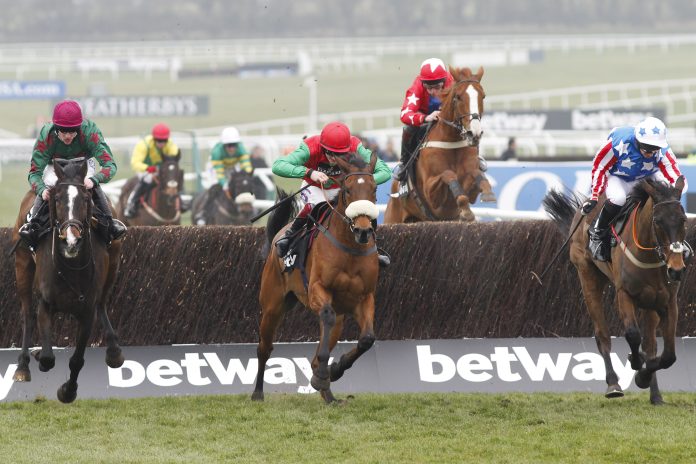 s21_dodging_bulltes_turfstock