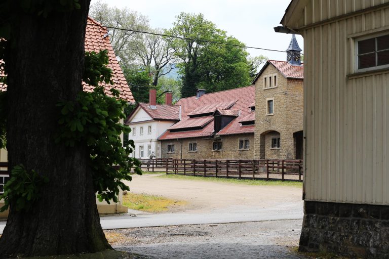 Hiobsbotschaft: Feuer im Gestüt Harzburg Hiobsbotschaft: Feuer im Gestüt Harzburg