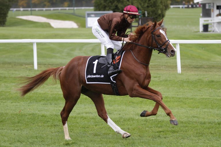 Prominentes Duo aus dem Derby gestrichen