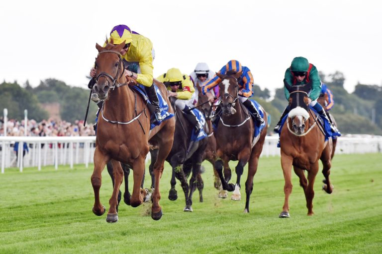 Sea Of Class drin – keiner raus! Es sieht nach 20 Startern aus