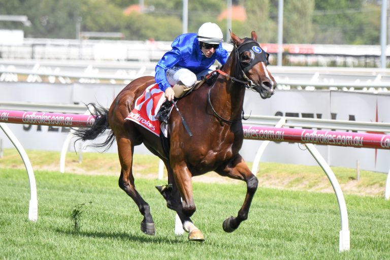 Helmet-Sohn „down under“ auf dem Weg nach oben