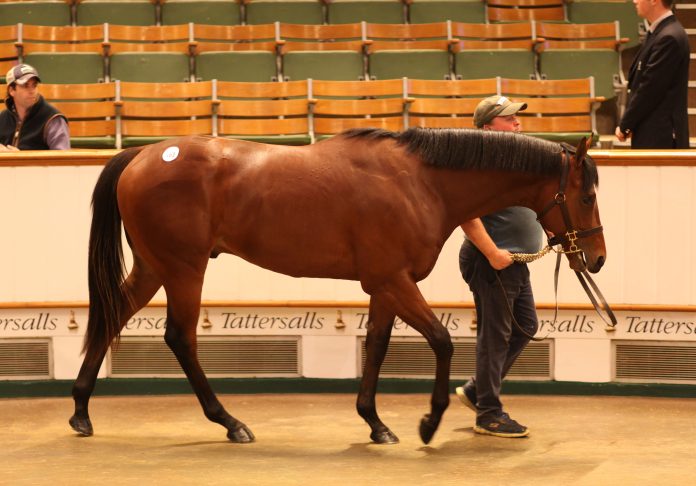 s2_topseller_lot_163_tcb1256ctattersalls
