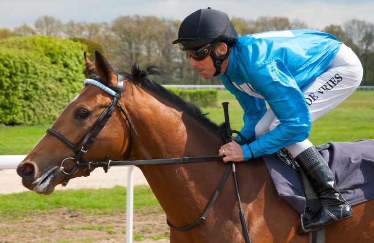 Rosenpurpur alias Savy Sixx Neunter im Hong Kong Derby Rosenpurpur alias Savy Sixx Neunter im Hong Kong Derby