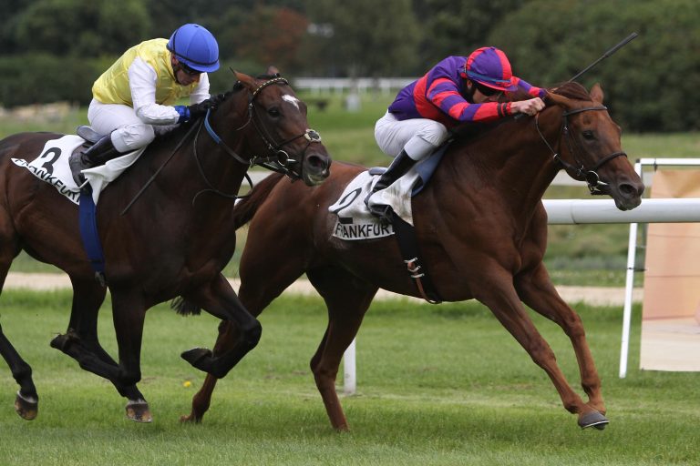 Fünf Galopp-Rennen am Sonntag in Meissenheim Fünf Galopp-Rennen am Sonntag in Meissenheim