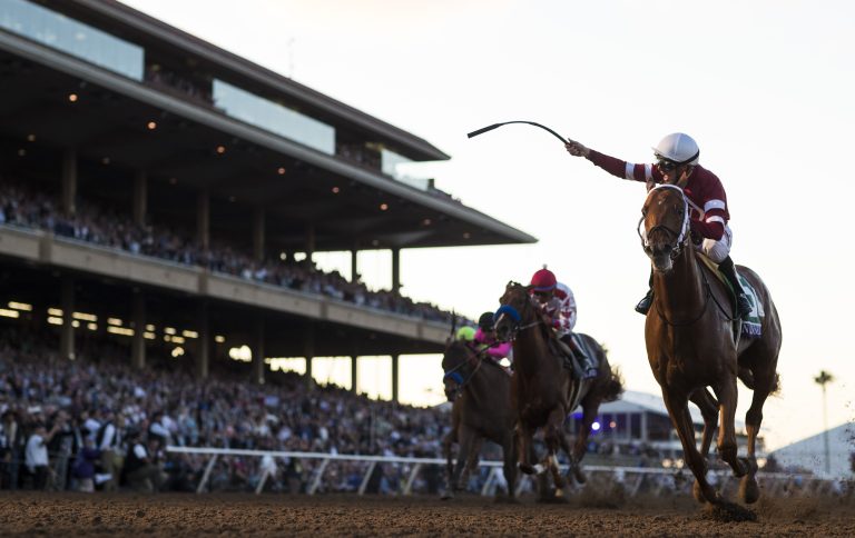 Gun Runner auch als Deckhengst in Form