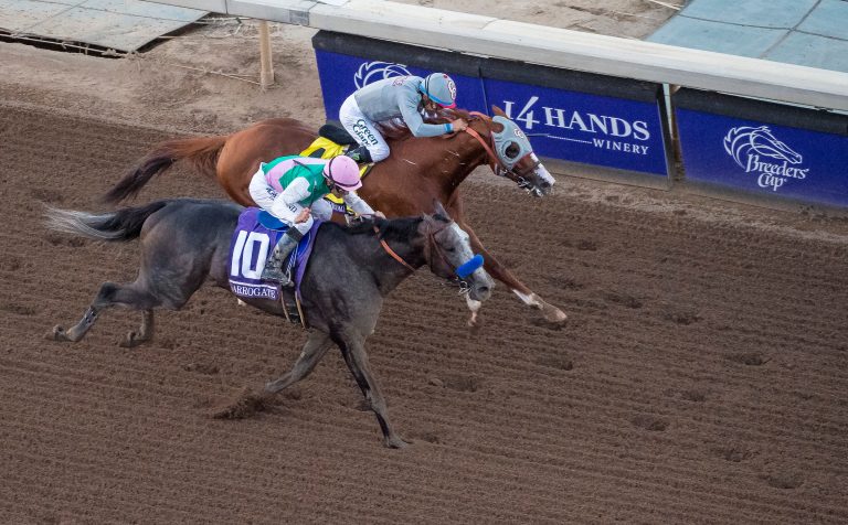 Arrogate gewinnt Millionen-Knaller im Gulfstream Park Arrogate gewinnt Millionen-Knaller im Gulfstream Park