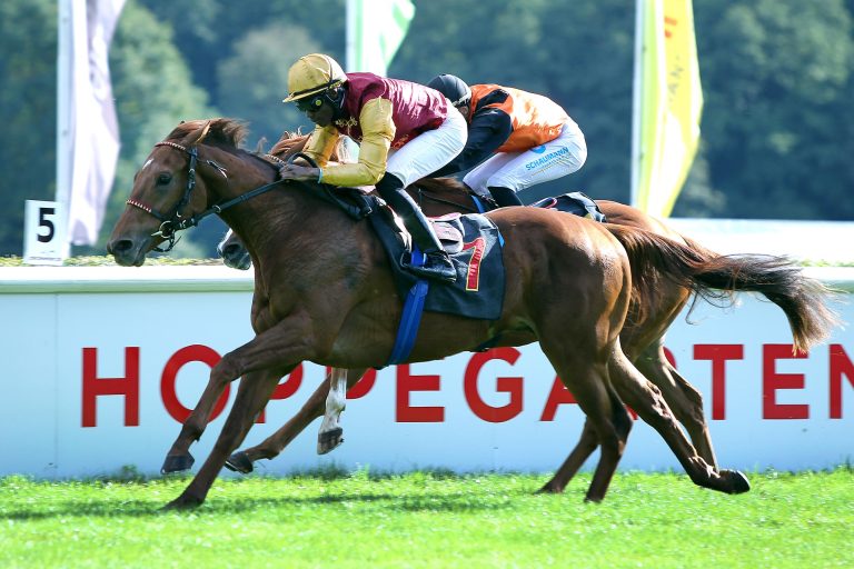 Warring States im Critérium de Saint-Cloud Warring States im Critérium de Saint-Cloud