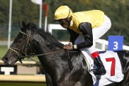 Quinindo ist der erste Favorit f?r das Deutsche Derby 2011