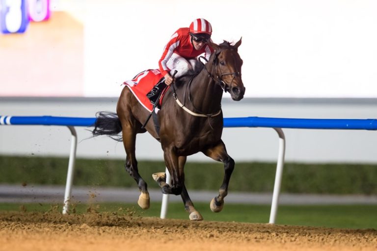 Salute the Soldier (Foto: emiratesracing,com)