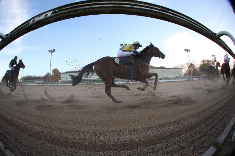 Ein Starter, ein Sieg – Redesert gewinnt in Mons Ein Starter, ein Sieg – Redesert gewinnt in Mons
