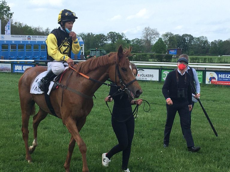 Saphira Dream Zweite in Quinte-Handicap Saphira Dream Zweite in Quinte-Handicap