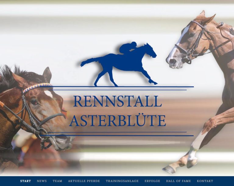 Asterblüte-Homepage zeigt sich im neuen Gewand