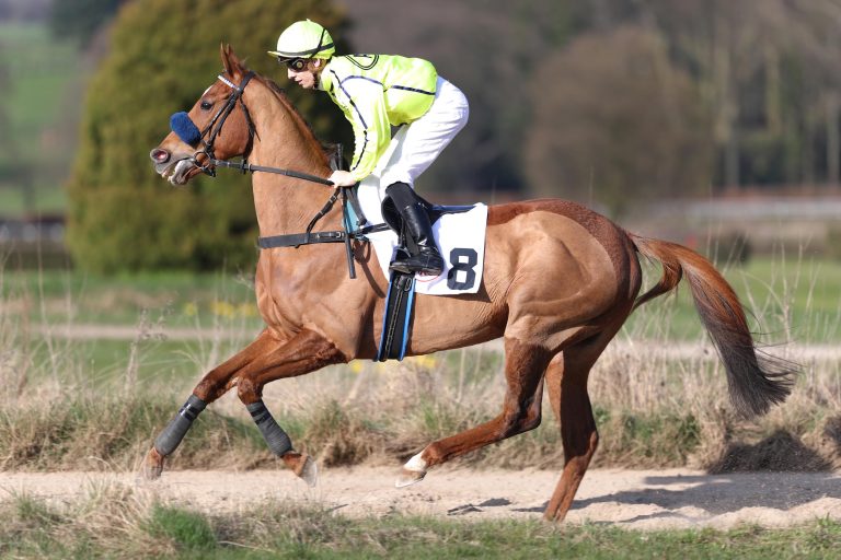 Seismos gewinnt Reclamer in Vichy Seismos gewinnt Reclamer in Vichy