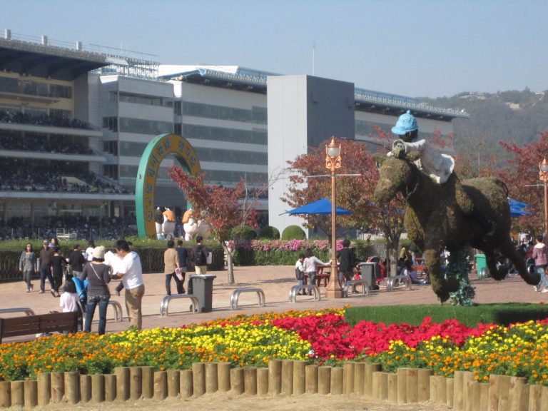 Zwei neue internationale Rennen in Seoul