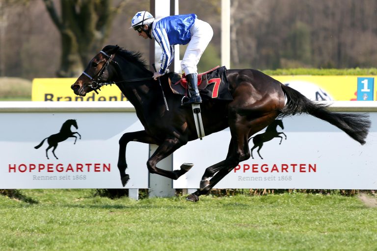 Shy Angel fliegt zum Sieg über Adutchgirl