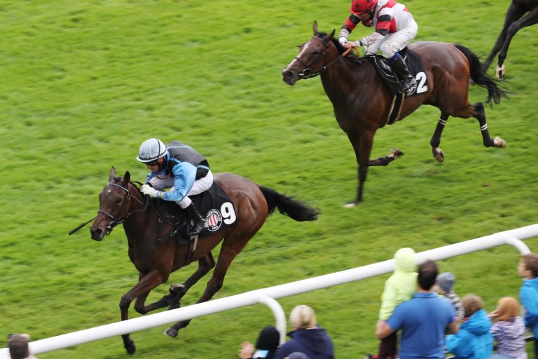 Shy Witch gewinnt Hamburger Stutenmeile Shy Witch gewinnt Hamburger Stutenmeile