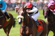 Saisonstart in Hoppegarten mit erstem Listenrennen