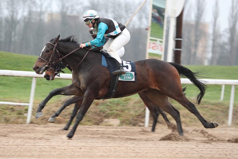 Sioux (Archiv)