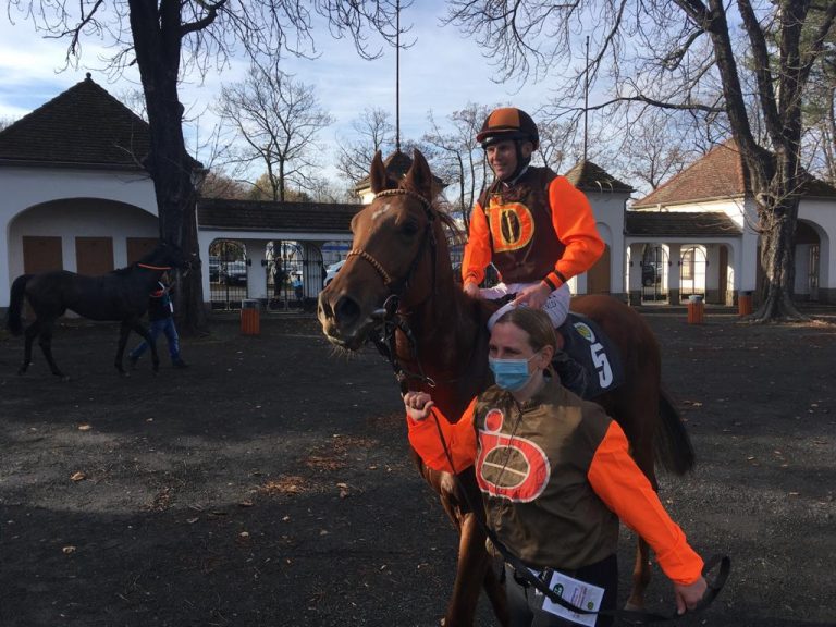 Derbystarter Sir Vulcano verkauft für 32.000 Euro