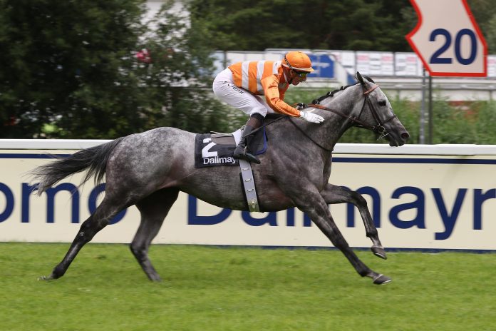 Skalleti bei seinem Dallmayr-Sieg 2021