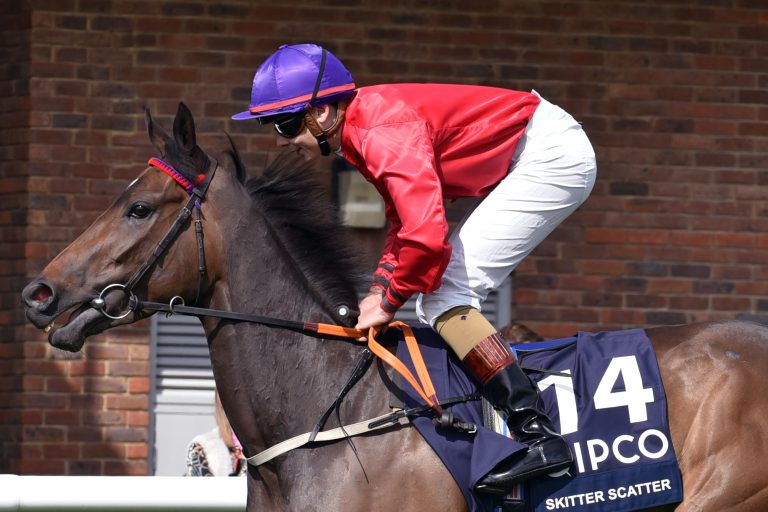700.000 Guineas für Skitter Scatter-Halbbruder