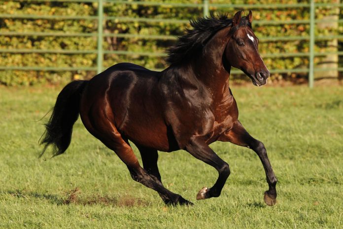 Soldier Hollow Soldier Hollow