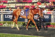 Schade: Fast dickes ?berraschungs-Osterei Down Under