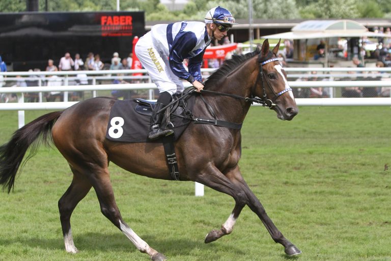 Son Macia ohne Chance im Prix Minerve