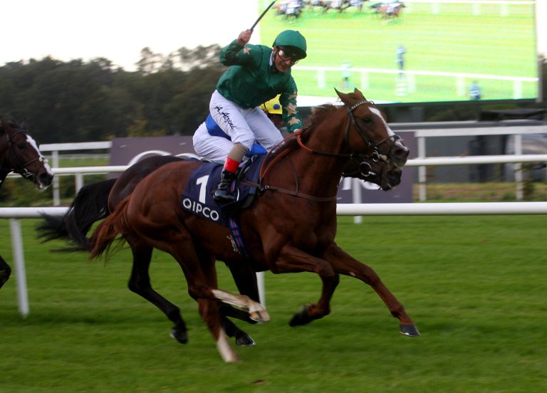Decorated Knight sorgt für Sensation