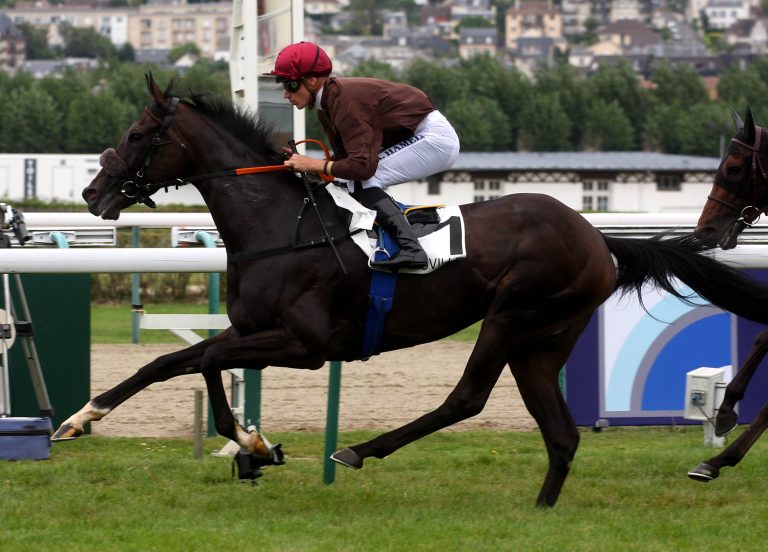 Grewes Taraja Sechste im Prix Minerve