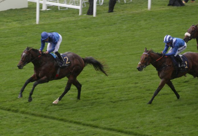 spw19ascotking_s_stand_stakes_einlauf_wie_im_vorjahr_applebys_blue_point_unter_james_doyle_vor_battaash_foto_rolf_c_hemkeimg_2768