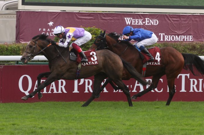 spw21longchamparcwelagardere_angel_bleu_unter_dettori_vor_applebys_noble_truth_foto_hemke_img_5969