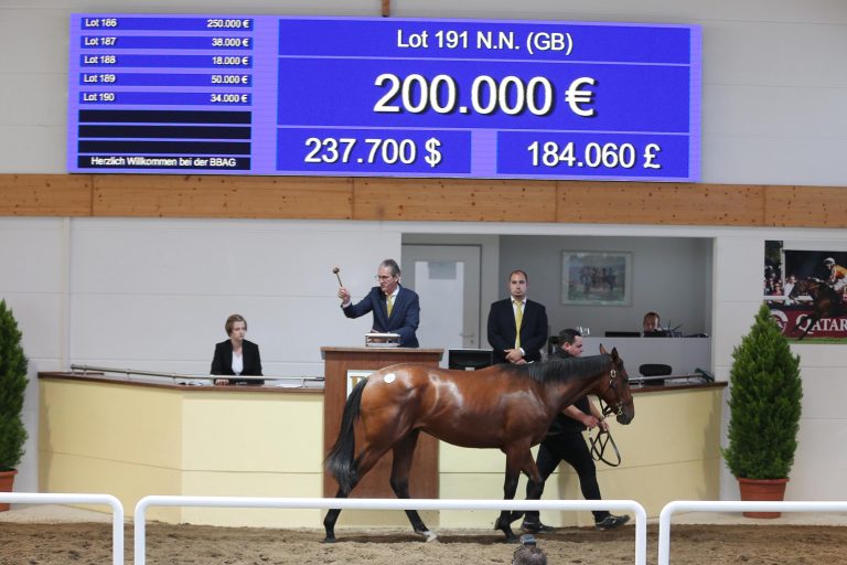 200.000 Euro-Kauf Star Safari macht Beute 200.000 Euro-Kauf Star Safari macht Beute