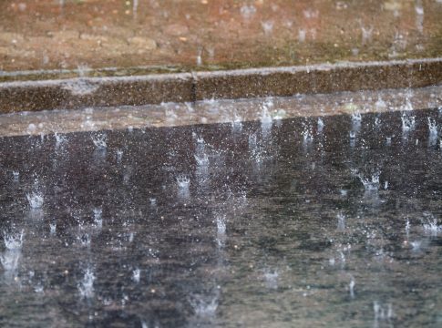 Irland: Erster Tag des Grand National-Meetings abgesagt