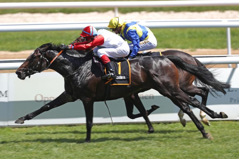 Sternkranz: Starter beim Highlight in Cagnes?