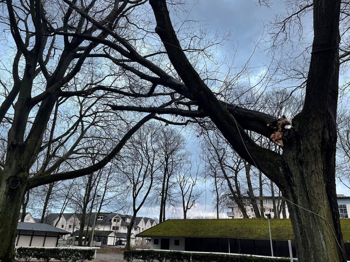 sturm_dortmund
