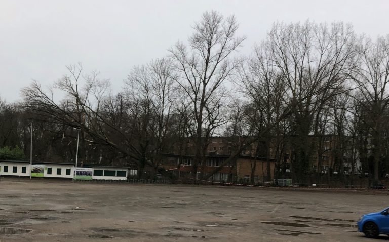 Sturm Victoria fegt Bäume auf Kölner Rennbahn um