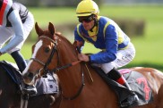 Schlenderhan die Dritte: Sorgt Swacadelic f?r Hattrick?