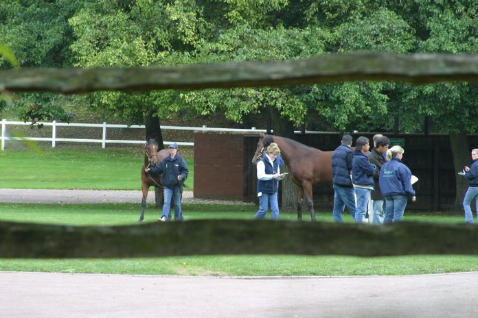 tattersalls_craven
