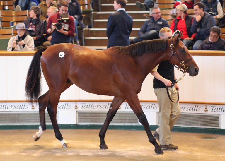 Newsells top am ersten Tattersalls-Tag