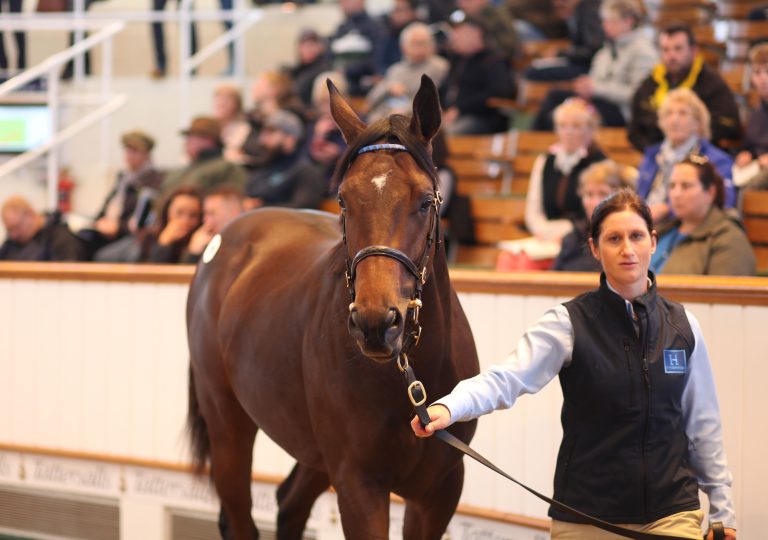 Godolphin kauf Dubawi-Sohn für 3,6 Millionen