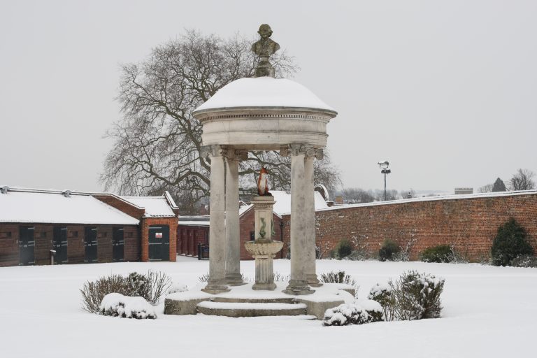 Tattersalls Foal Sale: 575.000 Guineas für eine St Mark’s Basilica-Tochter