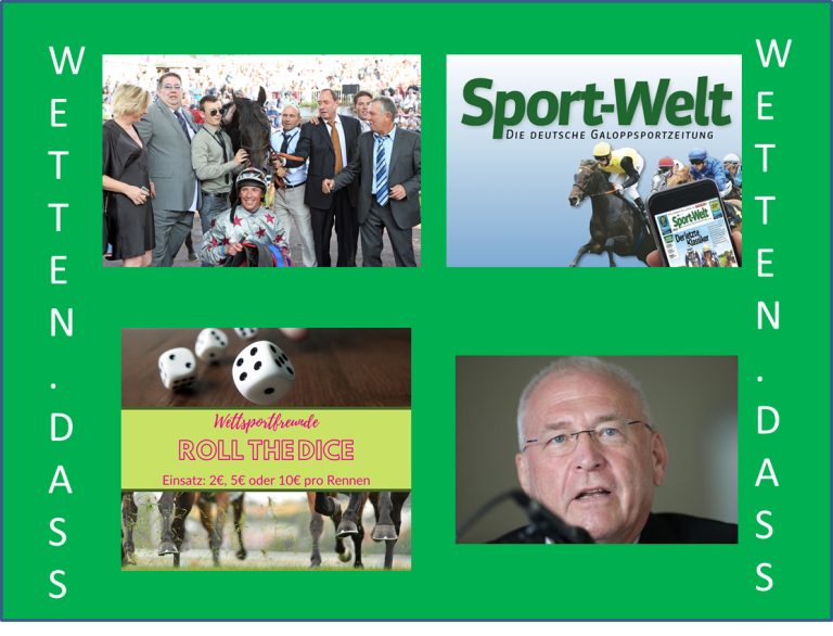 Wetten, dass…?!?: 13 bis 16 stehen fest