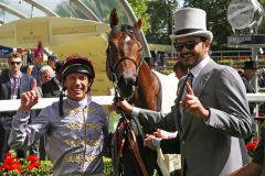 the_wow_signal_ascot